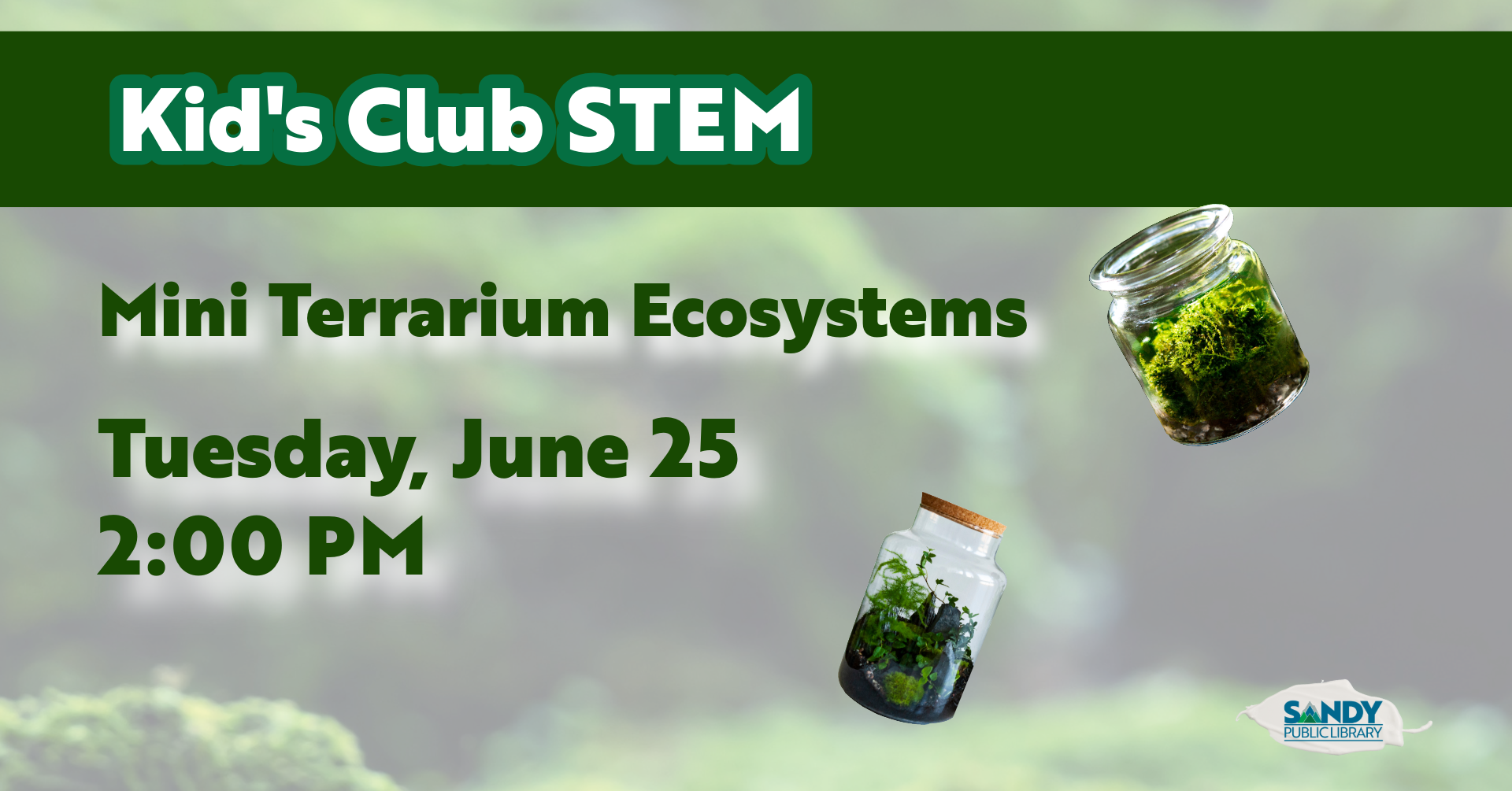 Terrarium Ecosystems: Create Your Miniature Green Paradise